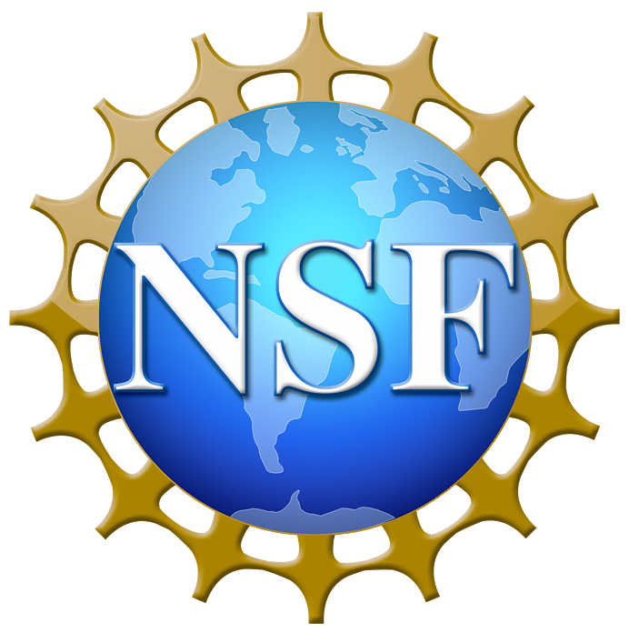 NSF logon