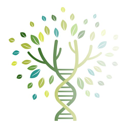 image of a tree with green and blue leaves and a trunk that resembles DNA structure