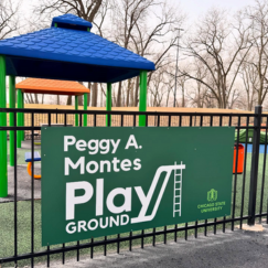 photo of the Peggy A. Montes playground entrance with a blue, green and orange covered picnic table in the background
