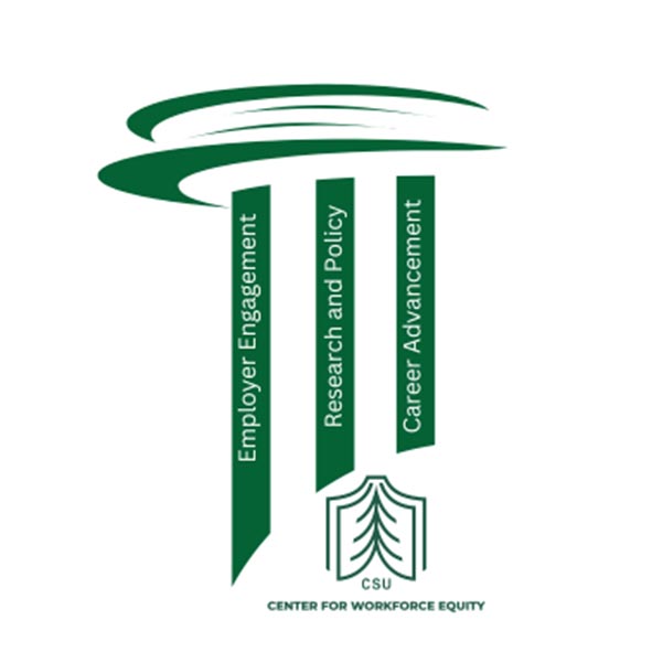 Center for Workforce Equity pillars