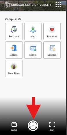 Click the middle ICON